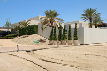 A sandy area with palm trees