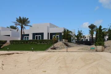 A building with palm trees and a dirt path