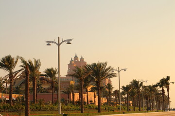 A building with a large tower behind it and palm trees in front of it
