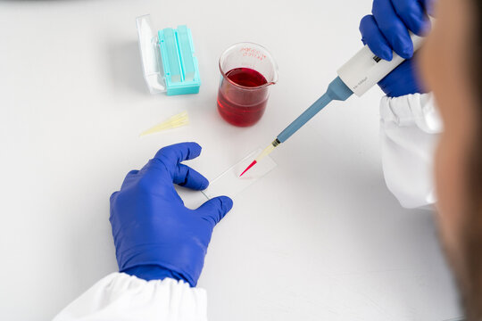  Close-up hands of scientist at laboratory