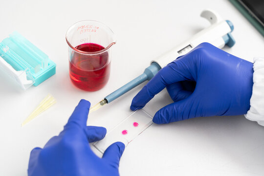  Close-up hands of scientist at laboratory