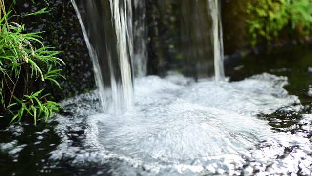 渓流の流れ