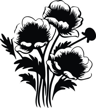 black and white anemone flowers bouquet clip art preview