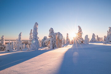 winter sunset 