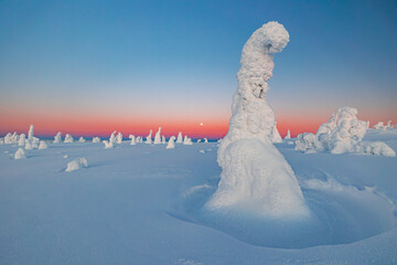 landscape with snow