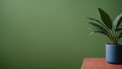 houseplant in a decorative pot on neutral background
