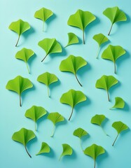 green leaves gingko on blue background