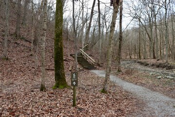 The hiking trail in the winter woods.