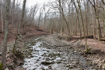 The creek in the winter woods.