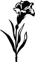 gladiolus silhouette