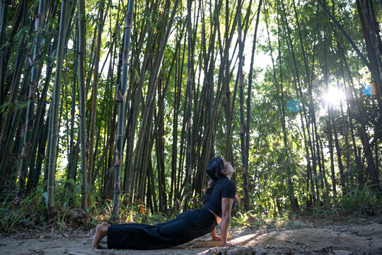 Urdhva Mukha Svanasana/upward facing dog pose