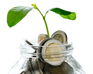 Green economy png mockup with jar of money and growing plant