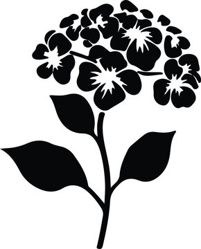 black hydrangea flower silhouette on white clip art preview