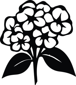 black and white hydrangea flower silhouette clip art preview
