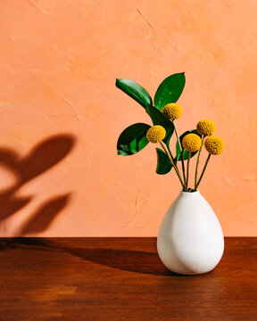 Billy Buttons in a vase