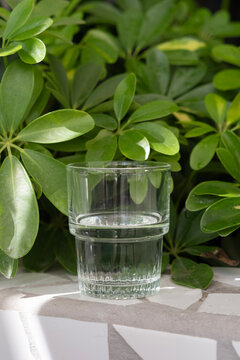 Glass of pure water in the green garden