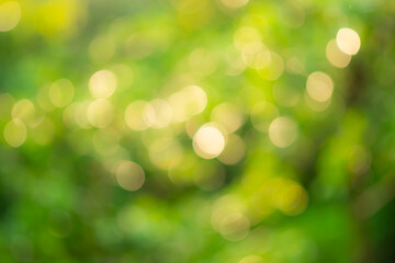 Captivating Eco-Friendly Designs: Abstract Green Leaf Bokeh Backgrounds with Nature's Bright Colors and Fresh Textures, A Blend of Summer Foliage and Sunlight for Vibrant Environmental Themes