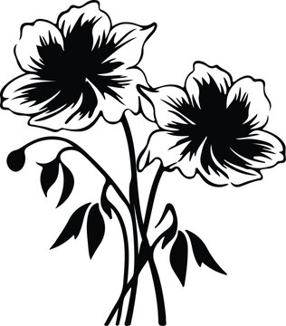 pasque flower silhouette