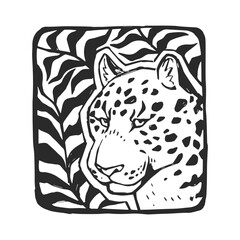 Vector hand-drawn illustration of a jaguar head on natural background. A stamp with a wild Brazilian animal in the style of a sketch.