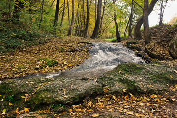 forest stream with a waterfall in an autumn forest
