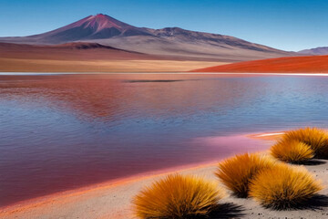 Landscape photo of Laguna Colorada lake with dry vegetation at Andes mountains background. Scenery view of Bolivia in natural wilderness. Bolivian nature landmarks concept. Copy ad text space, poster - obrazy, fototapety, plakaty