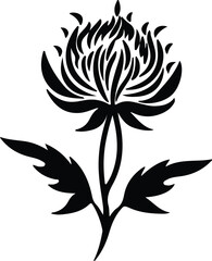 safflower silhouette