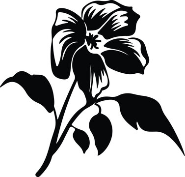 trillium silhouette