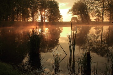 Wschód słońca nad jeziorem w parku i unoszące się mgły  © Lucky