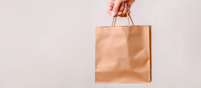 Hand Holding Plain Brown Paper Shopping Bag