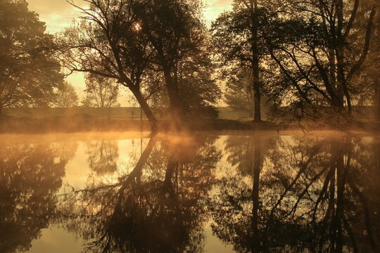 Sunset in poind in the park
