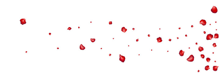 Flying red petals transparent background. Beautiful floral overlay with lots of rose petals.