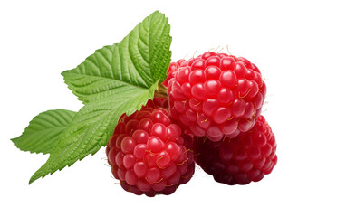 Raspberry on Clear Background