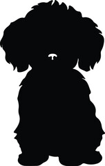 Bichon Frise silhouette