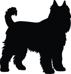 Bouvier des Flandres silhouette