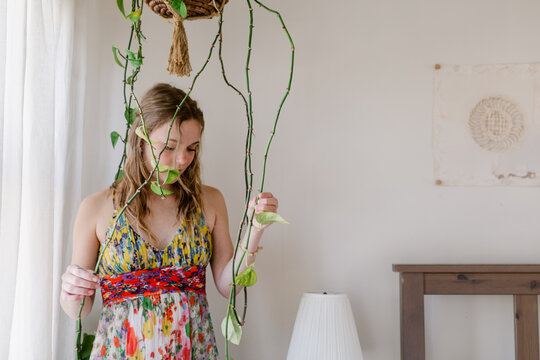 Hanging pothos plant lover