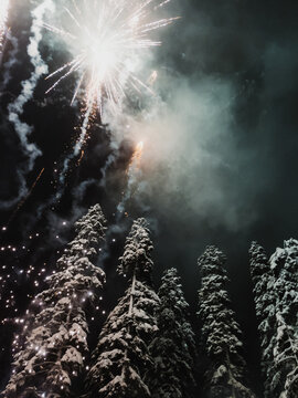 fireworks in forest
