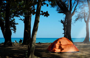 An orange tent on the sandy beach by the sea with one man. View from pine forests to the sea...
