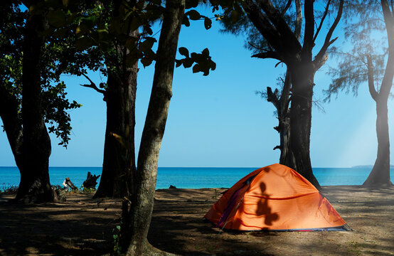 An orange tent on the sandy beach by the sea with one man. View from pine forests to the sea against blue sky and sunlight in tropical island background in summer at Phuket Island, Thailand.
