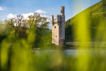 Mäuseturm in Bingen, April 2024