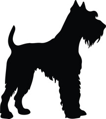 Irish Terrier silhouette