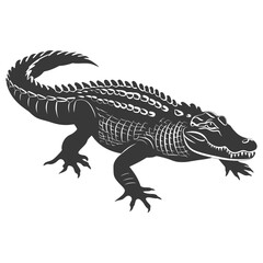 Obraz premium Silhouette alligator animal black color only full body