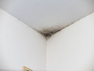 Black mould in a corner of a domestic room. Dangerous and unhealthy problem due to mistakes in the...