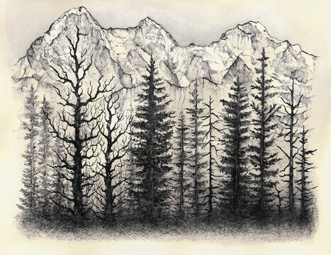 Swiss view 2