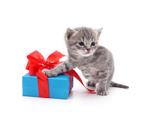 Kitten and gift. - 789572090