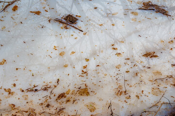 Milky technical liquid with oil stains poured into a ravine, nature pollution