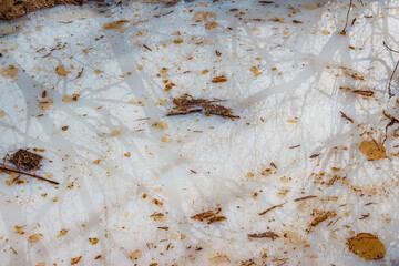 Milky technical liquid with oil stains poured into a ravine, nature pollution