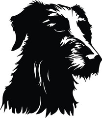 Obraz premium Scottish Deerhound silhouette
