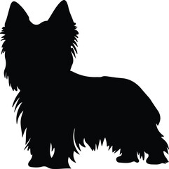 Silky Terrier silhouette