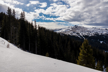 Snow covered alpine meadow with scenic view of Zirbitzkogel in Lavanttal Alps, Carinthia, Austria. Ski tour trail through glistening deep snow. Snowy landscape in Austrian Alps. Winter wonderland - obrazy, fototapety, plakaty