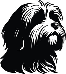 Obraz premium Tibetan Terrier silhouette